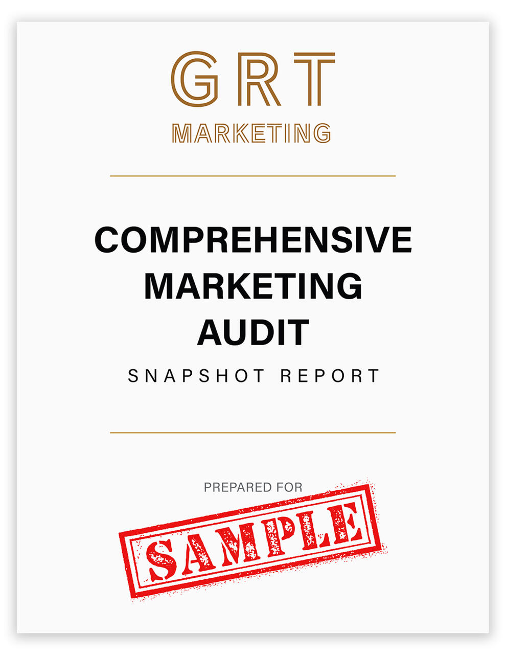 Cover of a sample comprehensive marketing audit snapshot report.